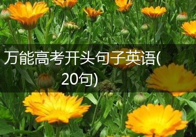 万能高考开头句子英语(20句)