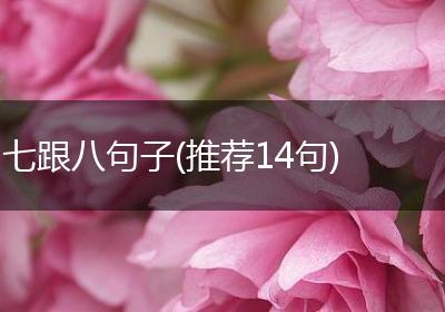 七跟八句子(推荐14句)
