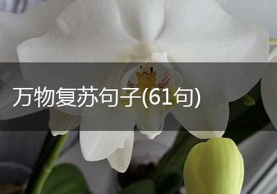 万物复苏句子(61句)