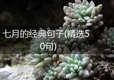 七月的经典句子(精选50句)