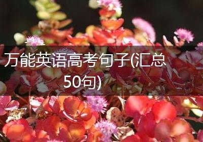 万能英语高考句子(汇总50句)