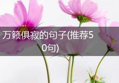 万籁俱寂的句子(推荐50句)
