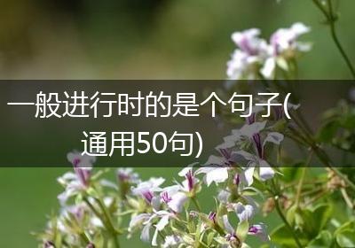 一般进行时的是个句子(通用50句)