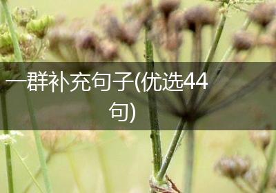 一群补充句子(优选44句)