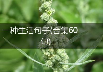 一种生活句子(合集60句)