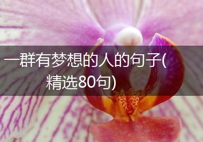 一群有梦想的人的句子(精选80句)