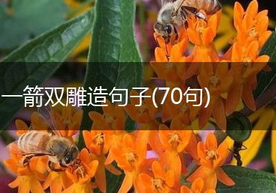 一箭双雕造句子(70句)