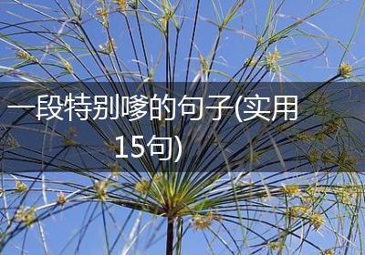 一段特别嗲的句子(实用15句)