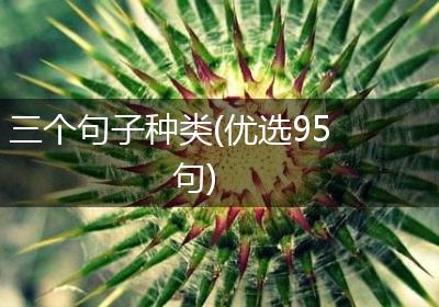 三个句子种类(优选95句)