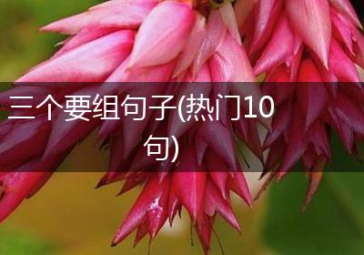 三个要组句子(热门10句)