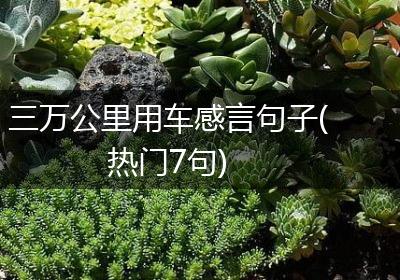 三万公里用车感言句子(热门7句)