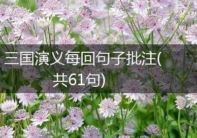 三国演义每回句子批注(共61句)