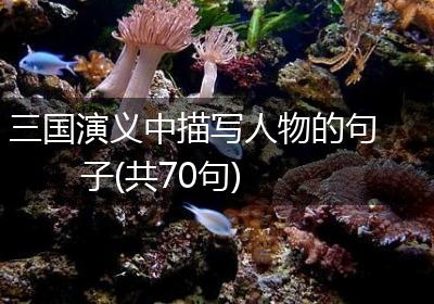 三国演义中描写人物的句子(共70句)