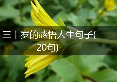三十岁的感悟人生句子(20句)