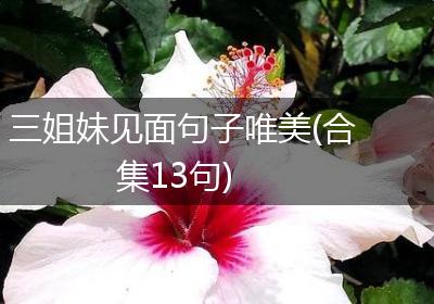 三姐妹见面句子唯美(合集13句)