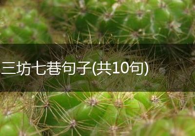 三坊七巷句子(共10句)
