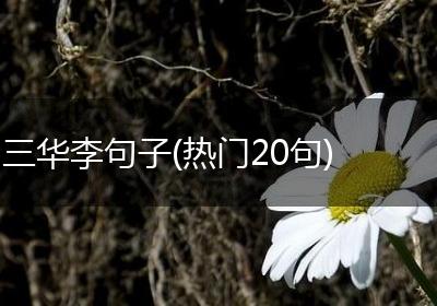 三华李句子(热门20句)