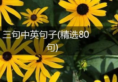 三句中英句子(精选80句)