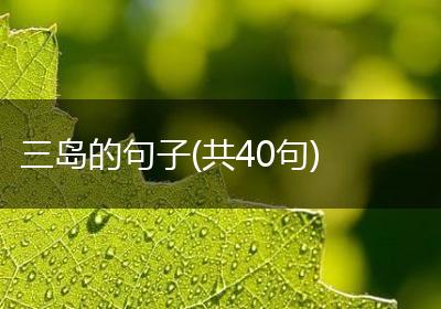 三岛的句子(共40句)