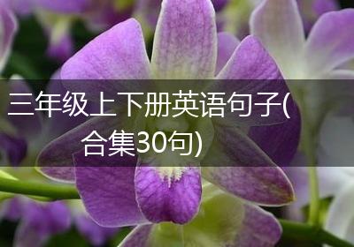 三年级上下册英语句子(合集30句)