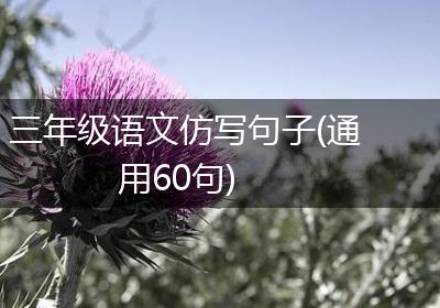 三年级语文仿写句子(通用60句)