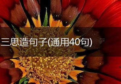 三思造句子(通用40句)