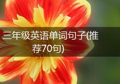 三年级英语单词句子(推荐70句)