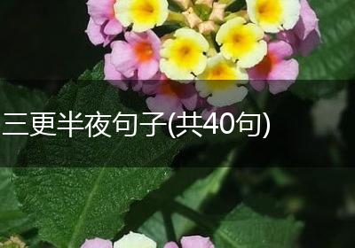 三更半夜句子(共40句)