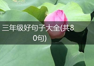 三年级好句子大全(共80句)