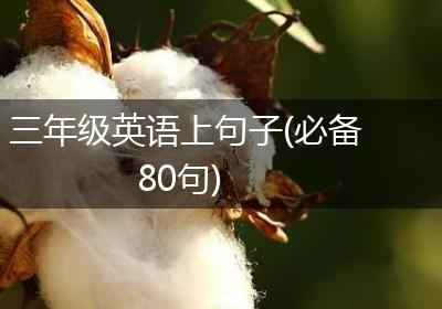 三年级英语上句子(必备80句)