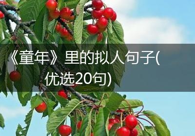 《童年》里的拟人句子(优选20句)