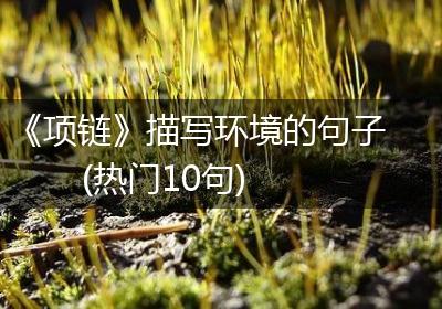 《项链》描写环境的句子(热门10句)