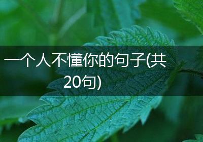 一个人不懂你的句子(共20句)