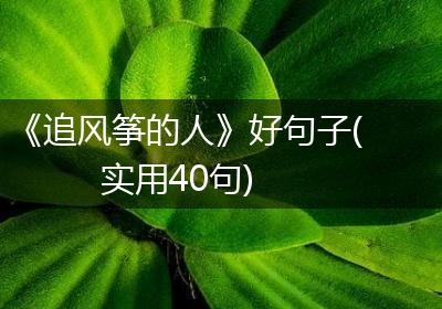 《追风筝的人》好句子(实用40句)