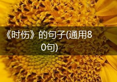 《时伤》的句子(通用80句)