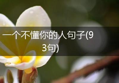 一个不懂你的人句子(93句)