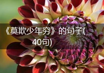 《莫欺少年穷》的句子(40句)