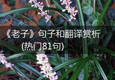 《老子》句子和翻译赏析(热门81句)