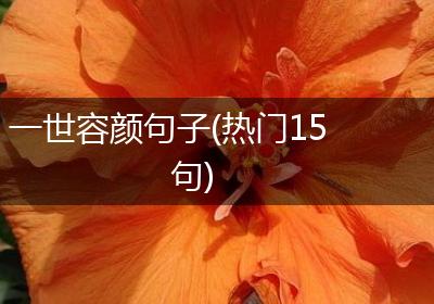 一世容颜句子(热门15句)