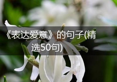 《表达爱意》的句子(精选50句)