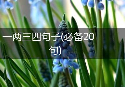 一两三四句子(必备20句)