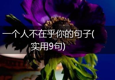 一个人不在乎你的句子(实用9句)