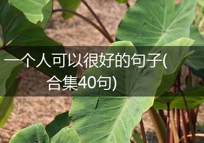 一个人可以很好的句子(合集40句)