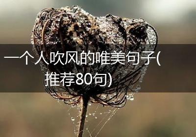 一个人吹风的唯美句子(推荐80句)