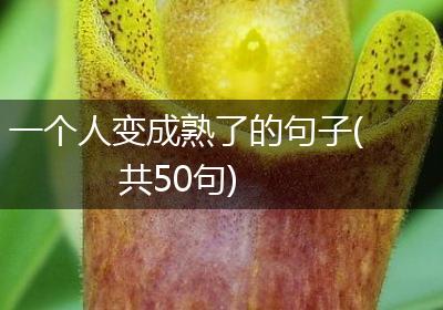 一个人变成熟了的句子(共50句)