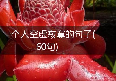 一个人空虚寂寞的句子(60句)