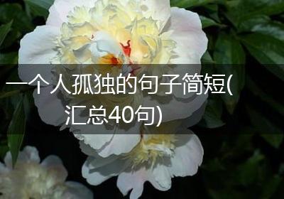 一个人孤独的句子简短(汇总40句)