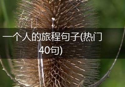 一个人的旅程句子(热门40句)