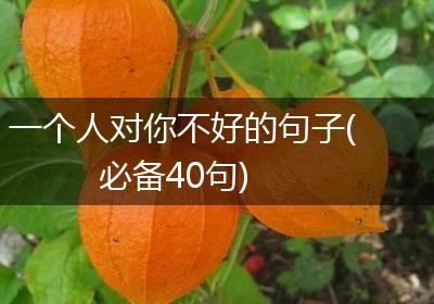 一个人对你不好的句子(必备40句)