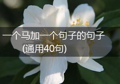 一个马加一个句子的句子(通用40句)